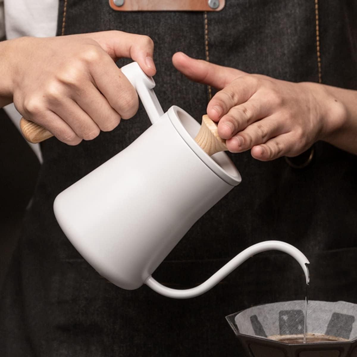 Zwanenhals Waterkoker - Koffieketel Druppelketel - Precisie Koffie Zetten - Lange Smalle Tuit - 550ml - Wit