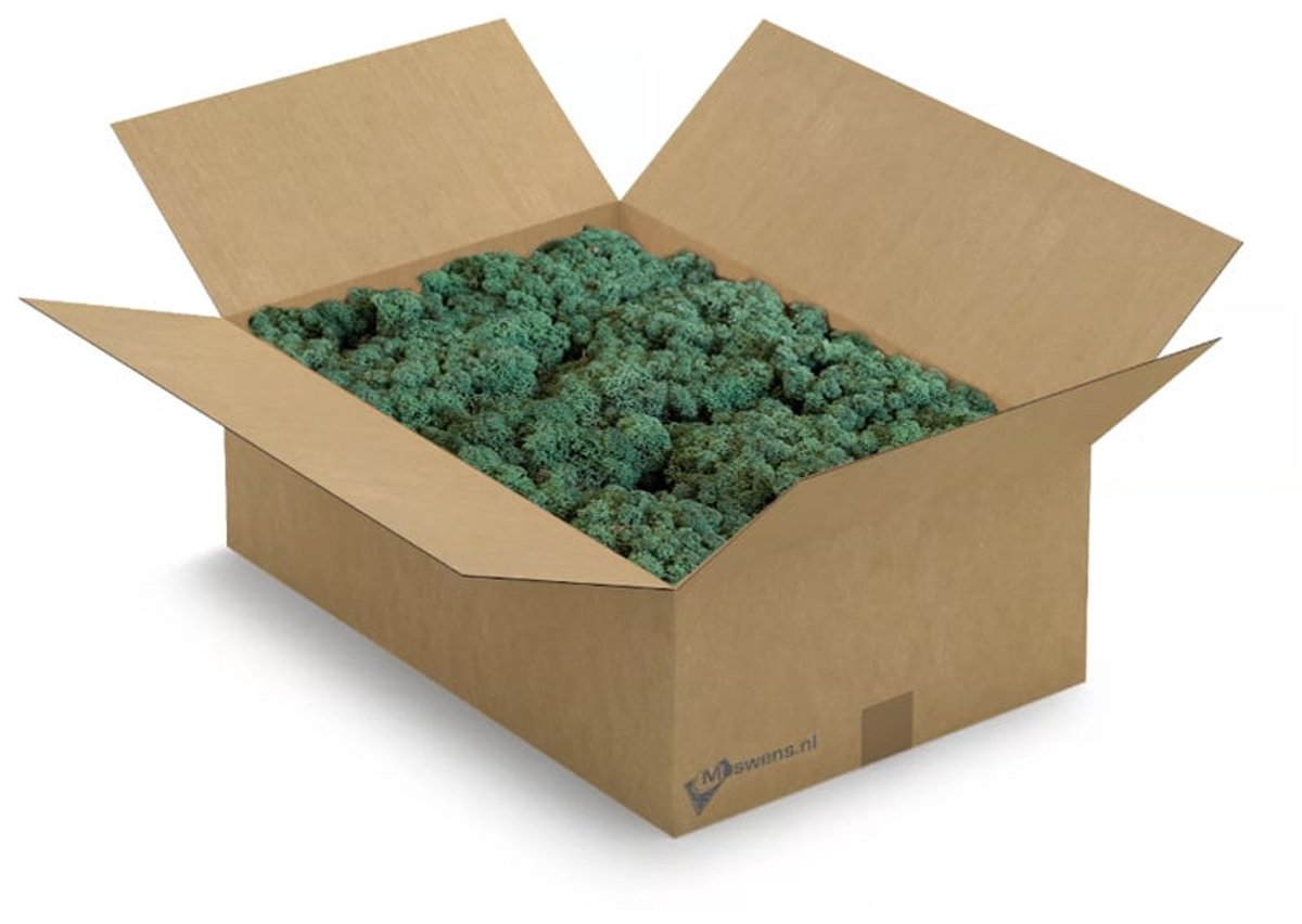 Moswens Rendiermos - XL - 400 gram - Doos Mos - Rendiermos - Forest