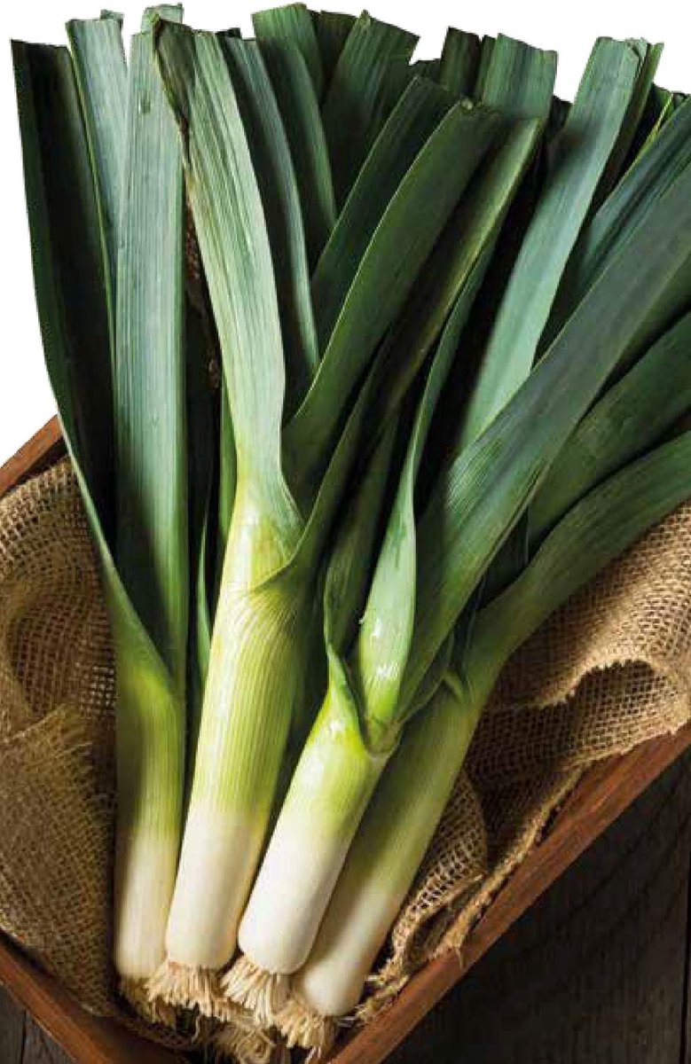 SnelShoppen - Organic Winter Giant 2 Prei Zaden 2g - Koudebestendige Variëteit voor Wintergroenten, Perfect voor Salades, Tuinieren, en Groenteteelt