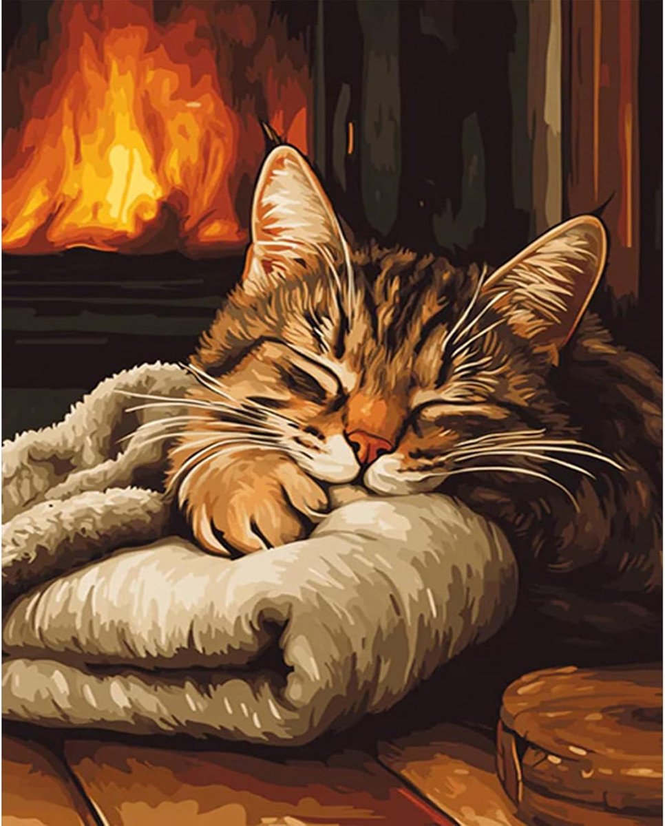 SnelShoppen - Katten Schilderen op Nummer voor Beginners - Creatief Dieren Schilderen op Canvas 30 x 40 cm - Paint by Number Compleet voor Volwassenen