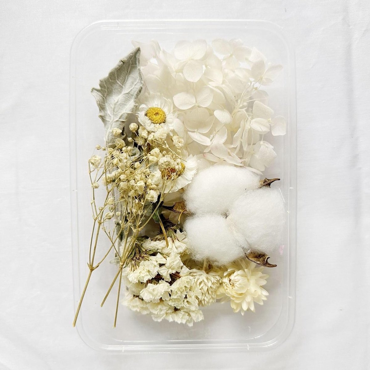 Set van 4 doosjes met natuurlijke droogbloemen voor knutselen, scrapbooking en epoxyhars decoratie (wit, willekeurige bloemen)