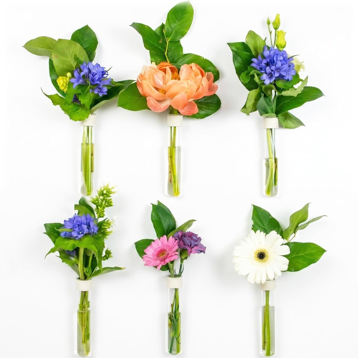 SnelShoppen - Testbuizen voor bloemen met witte leren muurmagneten - Set van 6 - Magnetische vazen, stijlvolle bloemenvaas, unieke decoratie voor huis