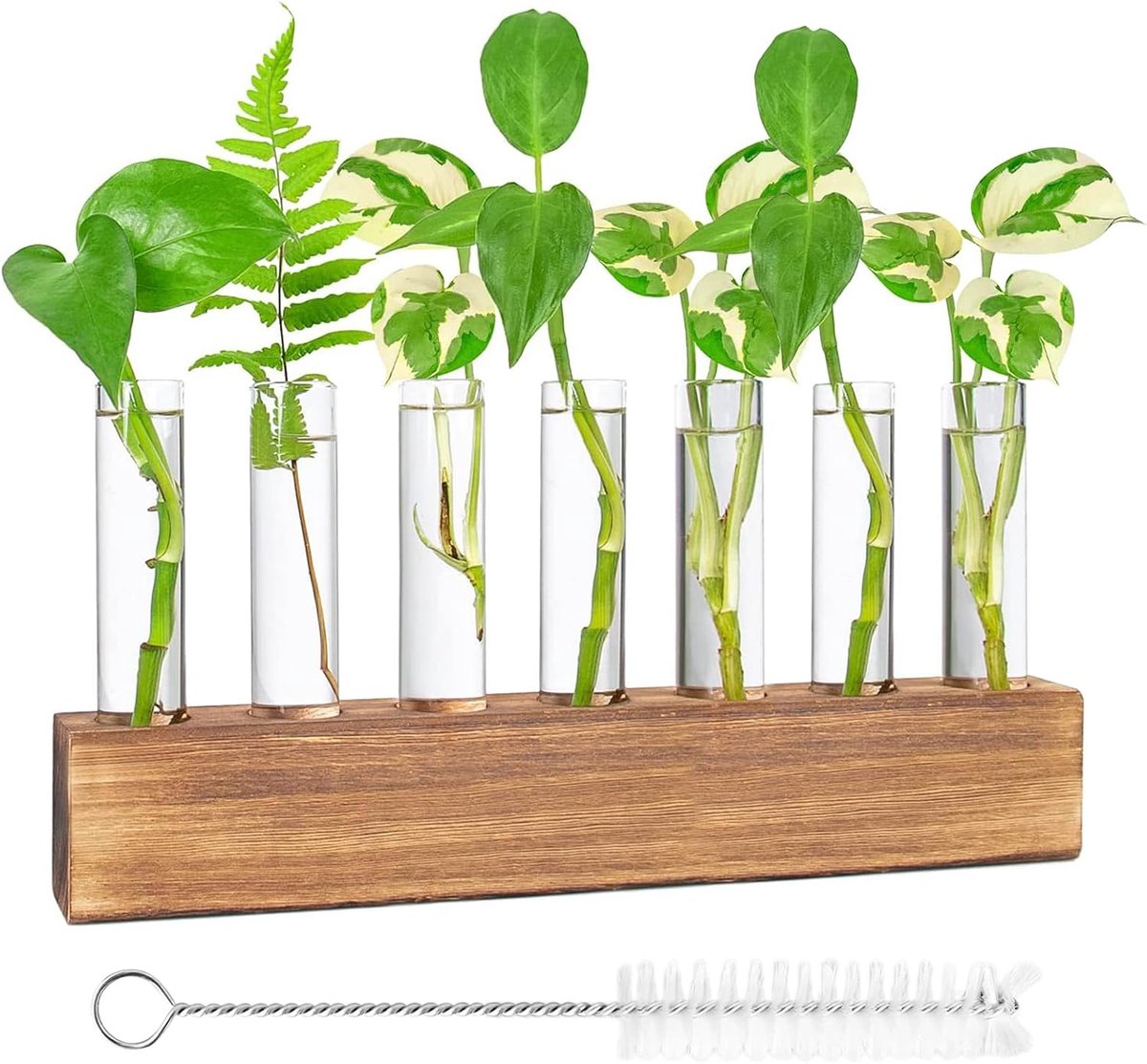 SnelShoppen - Testbuisvaas, Glazen Vaas met Houten Stand, Kleine Vazen voor Bloemen, Hydroponische Planten, Modern Glas, Inclusief Schoonmaakborstel