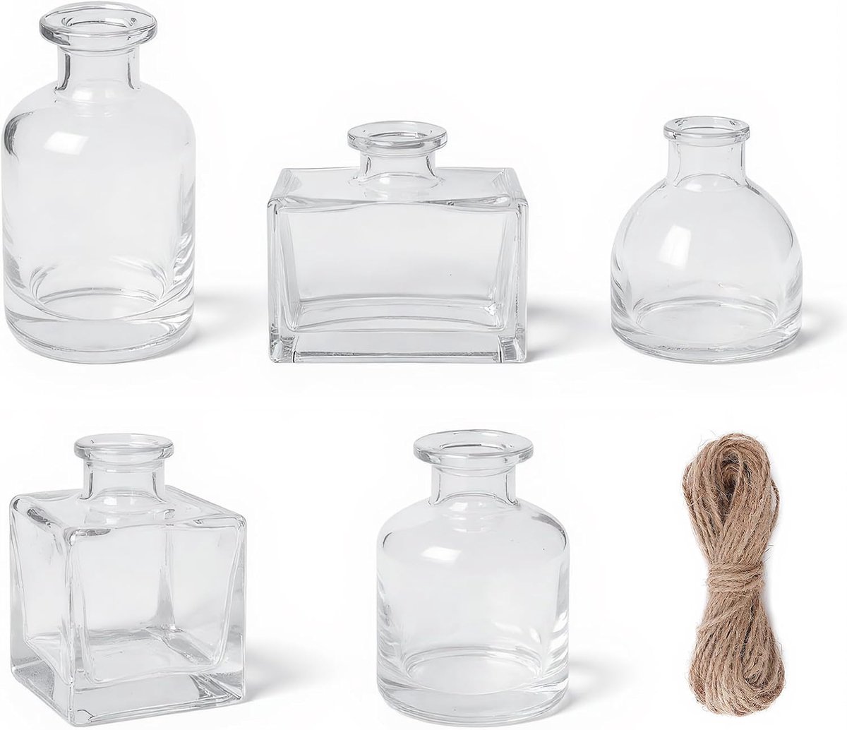 SnelShoppen - 5 Pcs Mini Glass Vases - Kleine Transparante Glazen Vazen met Jute Touw voor Tafel Decoraties, Bruiloft, Feest en Thuis, 5 Verschillende