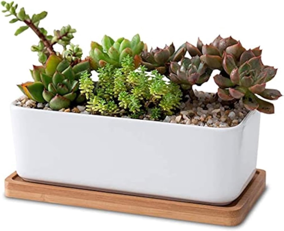 Set van 1 rechthoekige witte keramische pot voor vetplanten met bamboe onderzetter, ideaal voor cactussen en decoratieve bloemen, perfect voor huis en tuin.