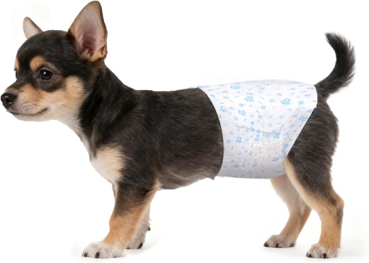 Luiers voor reuen, luiers voor reuen, 20PC wegwerp slipjes hondenluier honden, puppy-onderlegger Nappy, absorberend & waterdicht, na operatie, zindelijk, voor grote/middelgrote/kleine