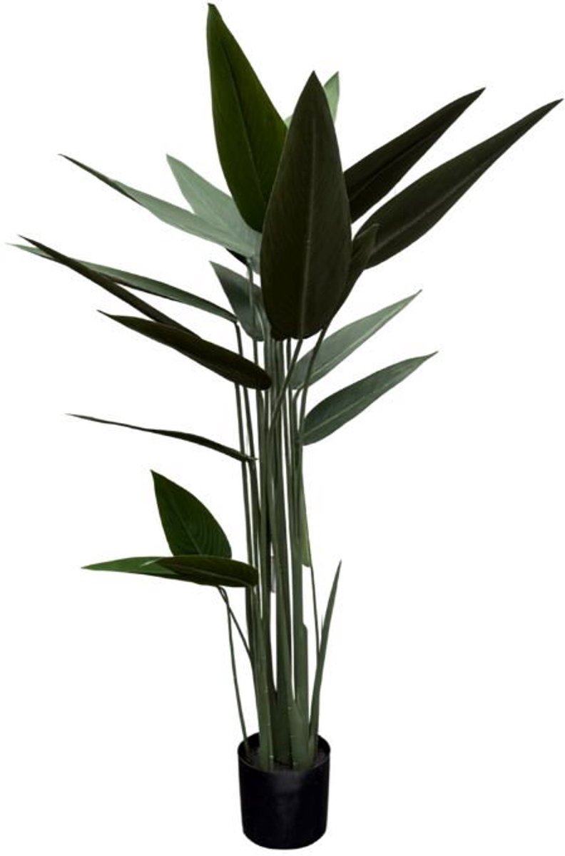Strelitzia Reginae groen in pot H 140 cm kunstplant Oosterik Home