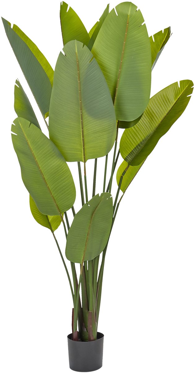 Beliani BANANA TREE - Kunstplant - Groen - 187 cm - Synthetisch materiaal