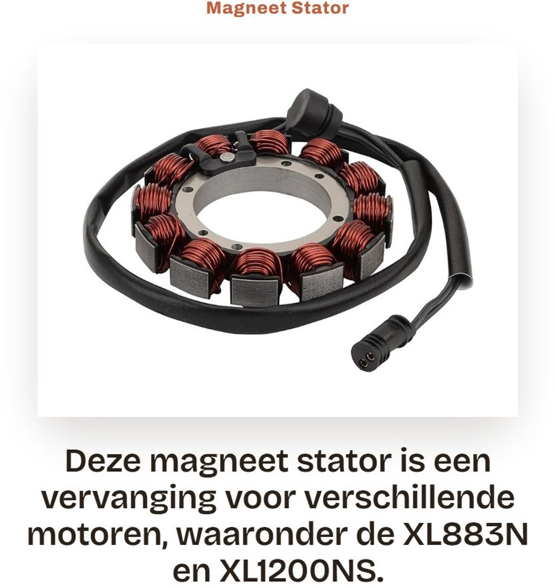 Dailygoods- Magneet Stator Vervanging 12 Spoel - 2 Draad - Compatibel met XL883N/XL883L/XL1200NS - OEM 29900068 - Hoogwaardige Kwaliteit - Voor 2019-2022 Modellen - Motorstator