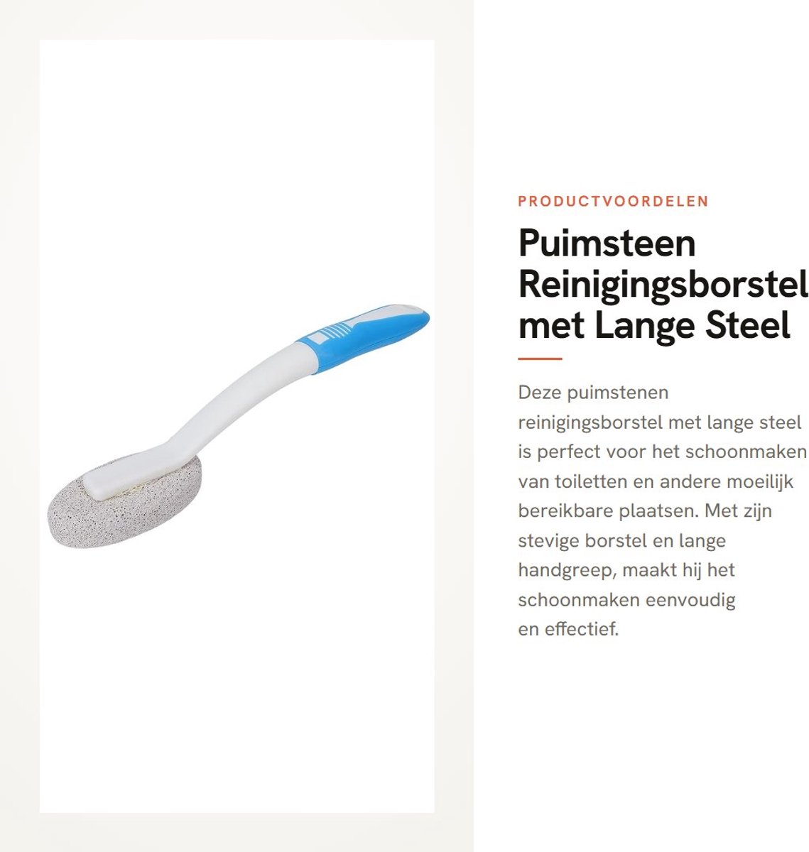 Dailygoods- Reinigingsborstel met Lange Steel - Puimsteen - Toiletpot Cleaner - Huishoudelijke Sink - Badkamer/Keuken - Effectieve Verwijdering van Vuil - Schoonmaakborstel