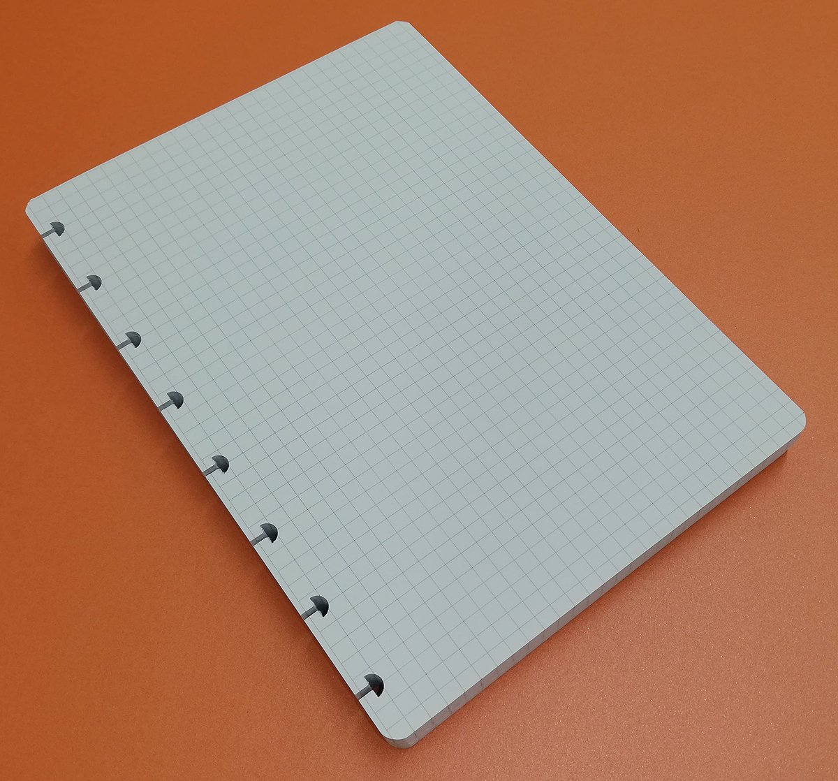 SnelShoppen - Refills Inserts voor Disc Bound Planner Navulverpakking 100 Vellen (200 Pagina's) T-vormige Gaten - DIN A5 14,5 x 20,5 cm Geruit 5 mm vo