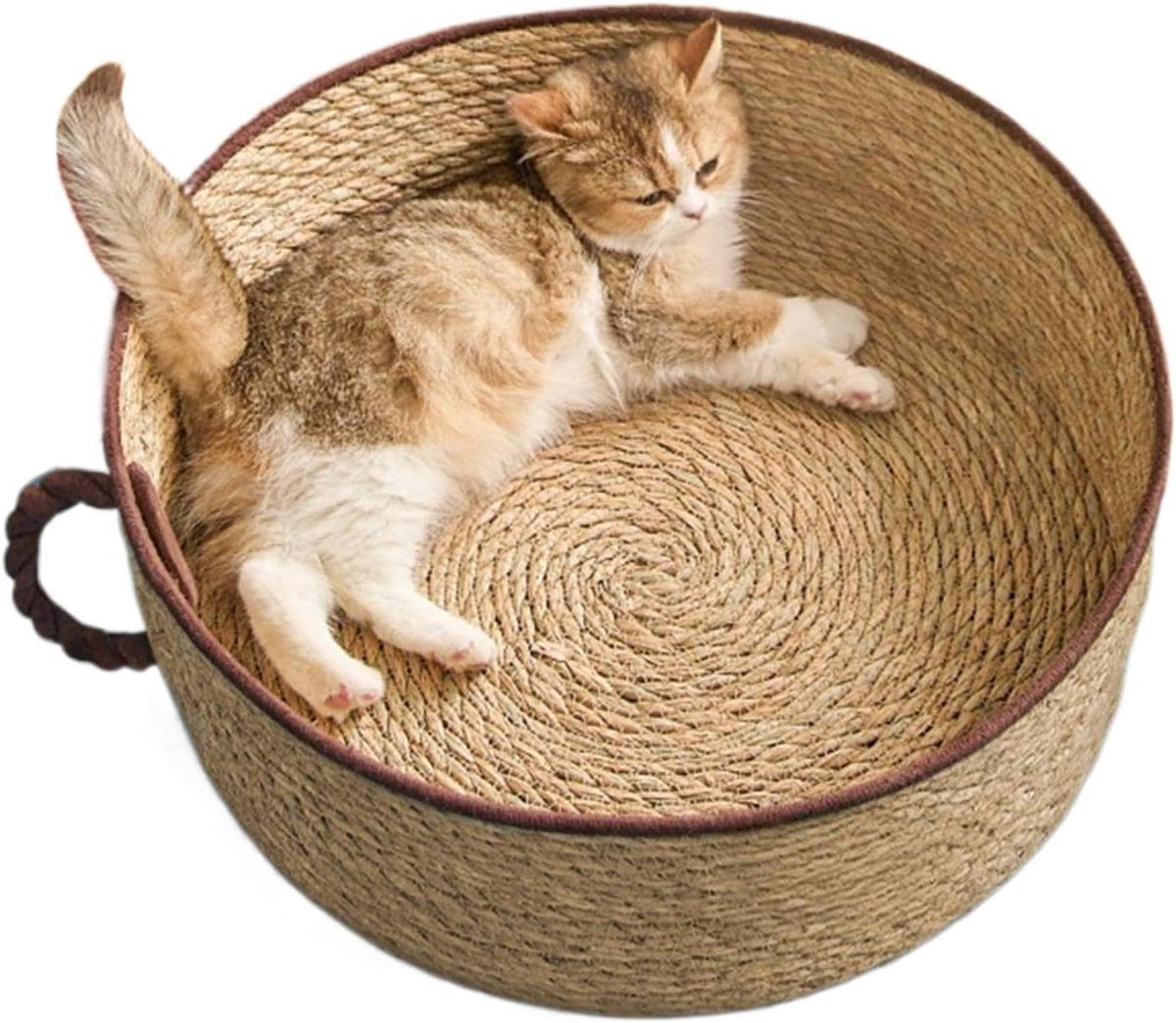 Kattenmand Cup Design - Kitten Nest - Comfortabel Slapen - Ademend Basketbalontwerp - 35 x 35 x 13 cm