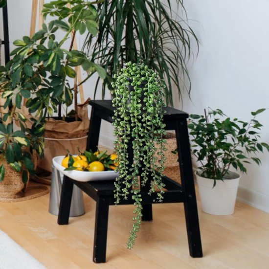 Une plante verte retombante aux feuilles sphériques dans un pot noir, dans un salon meublé.