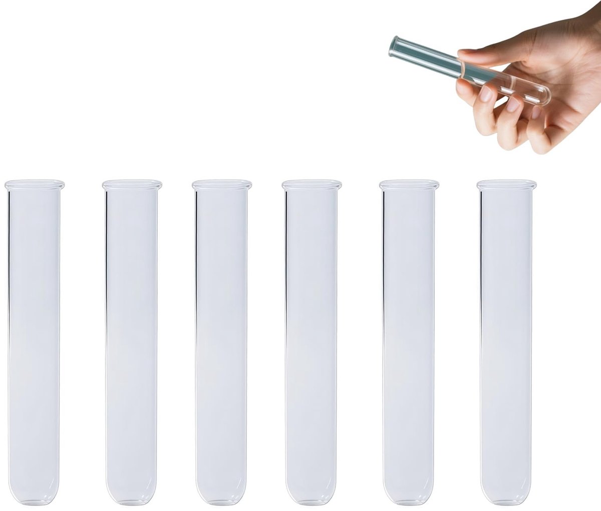 SolidKeus - Set van 6 Testbuizen voor Bloemstukken, 20 x 120 mm