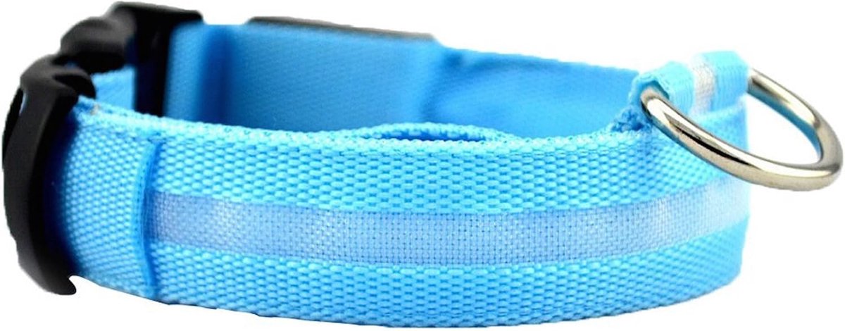 Zichtbaarheid en veiligheid voor honden USB oplaadbare LED-halsband voor honden. Ultraheldere LED's. Hond zal beter zichtbaar en veilig zijn (BLAUWE MAAT MEDIUM) Lengte 36 cm - 44 cm
