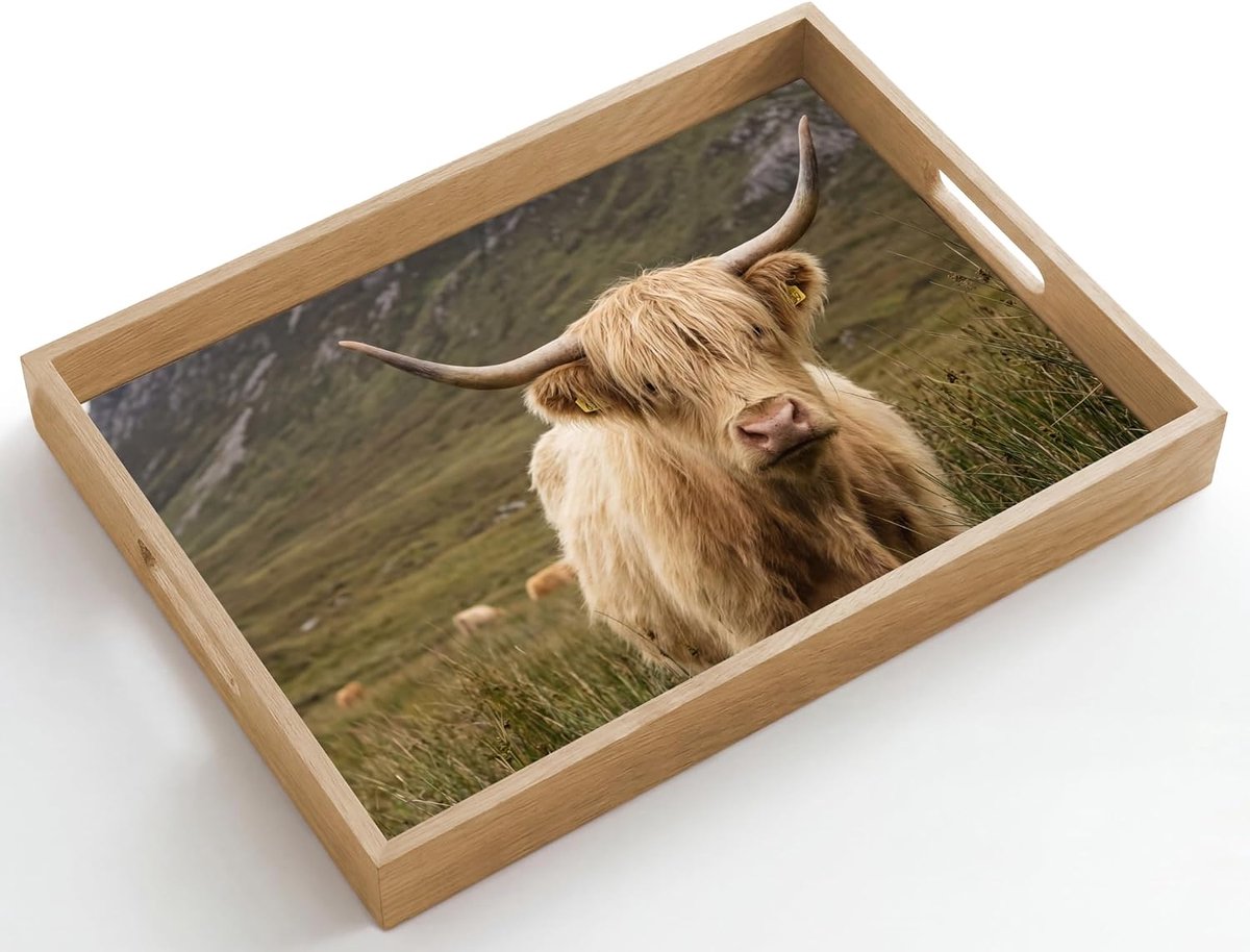 Rechthoekig 50x35 cm Houten Dienblad Met Handgrepen Eikenhout Krasbestendig Hittebestendig Wooden Tray Koffie Thee Schotse hooglander - Bergen - Grasveld