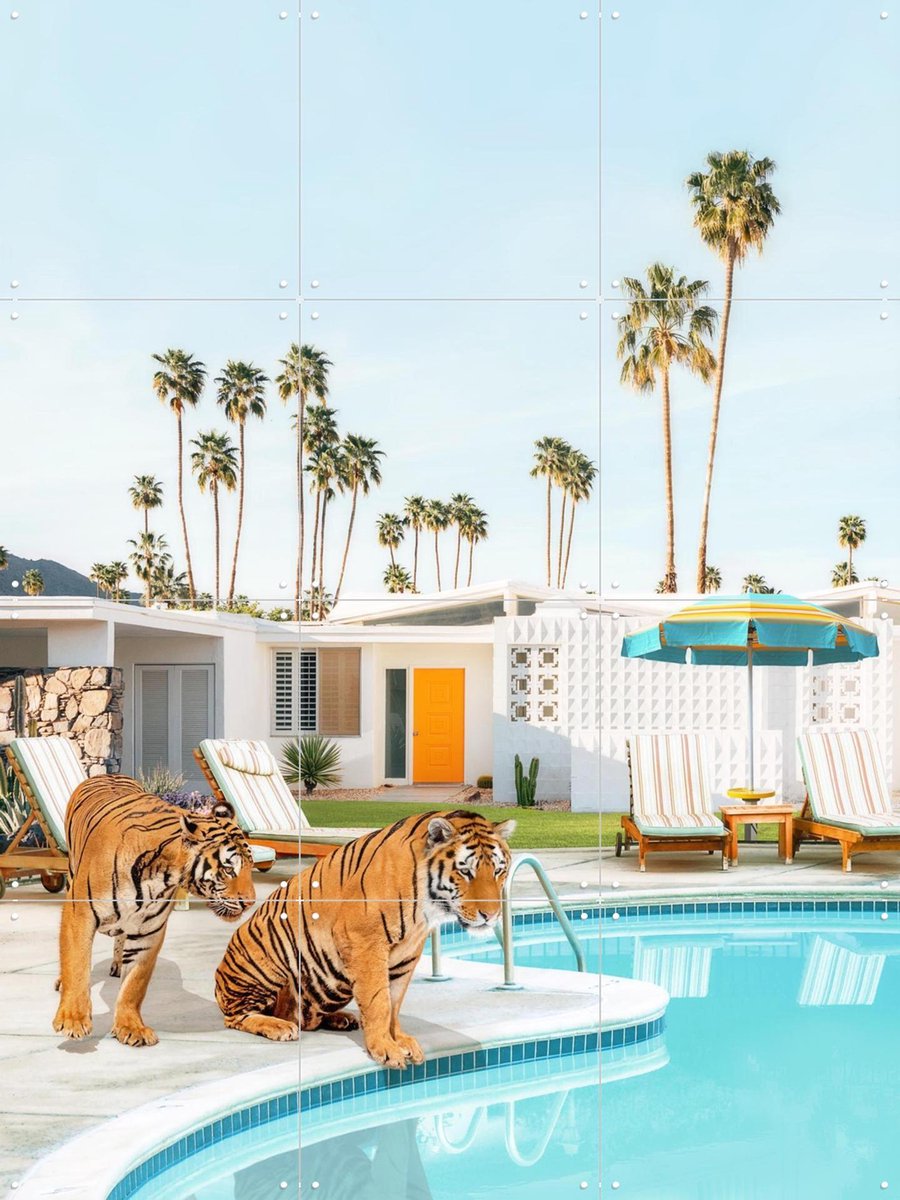 IXXI Tigers at the Pool, Paul Fuentes - 60 x 80 cm - Gratis ophangtool - Grote wanddecoratie en posters - Modern, Strandhuis, Woonkamer, Dieren