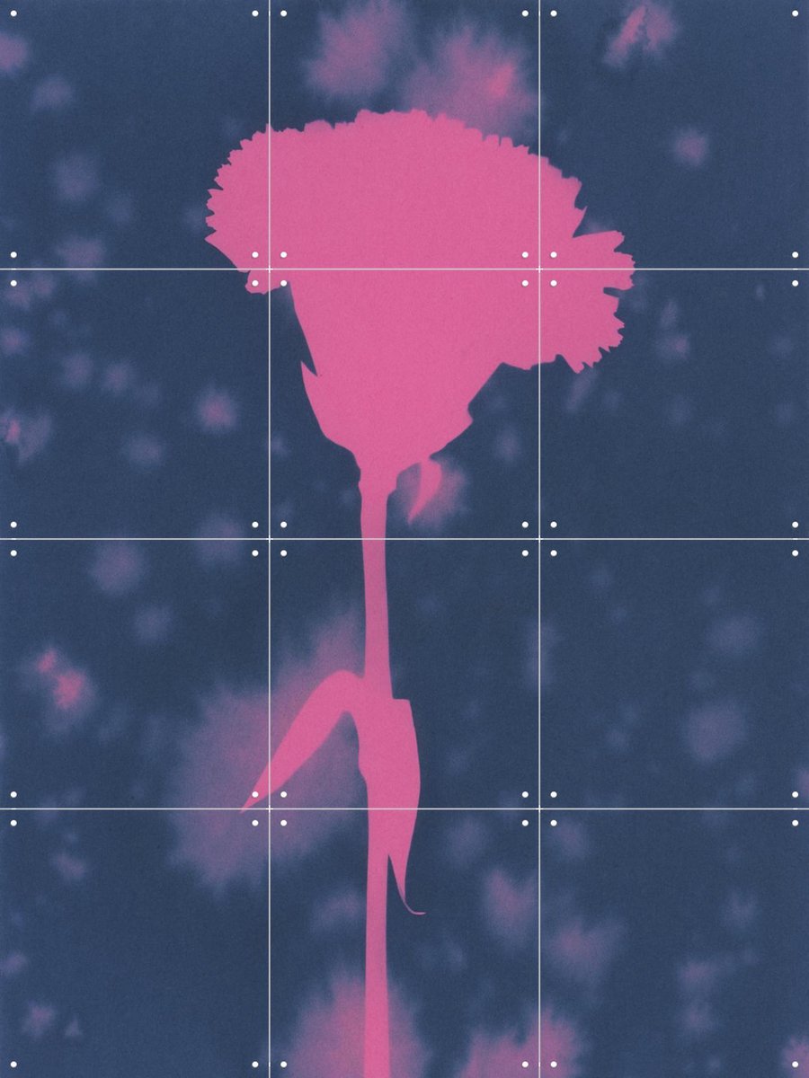 IXXI Flower Girl, Amber Lauder - 60 x 80 cm - Gratis ophangtool - Grote wanddecoratie en posters - Fotografie, Woonkamer, Slaapkamer, Trap, Gang