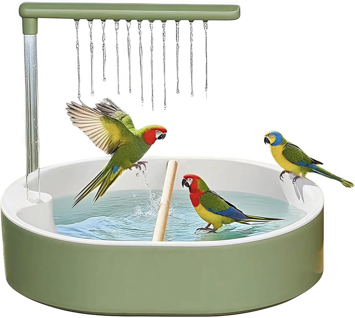 Papegaaiendouche - Automatisch parkietenbad met waterpomp - Grote vogeldouchefontein - Met twee grenenhouten steunen - Geschikt voor huisdieren zoals papegaaien, dwergpapegaaien, kanaries - Groene pijp