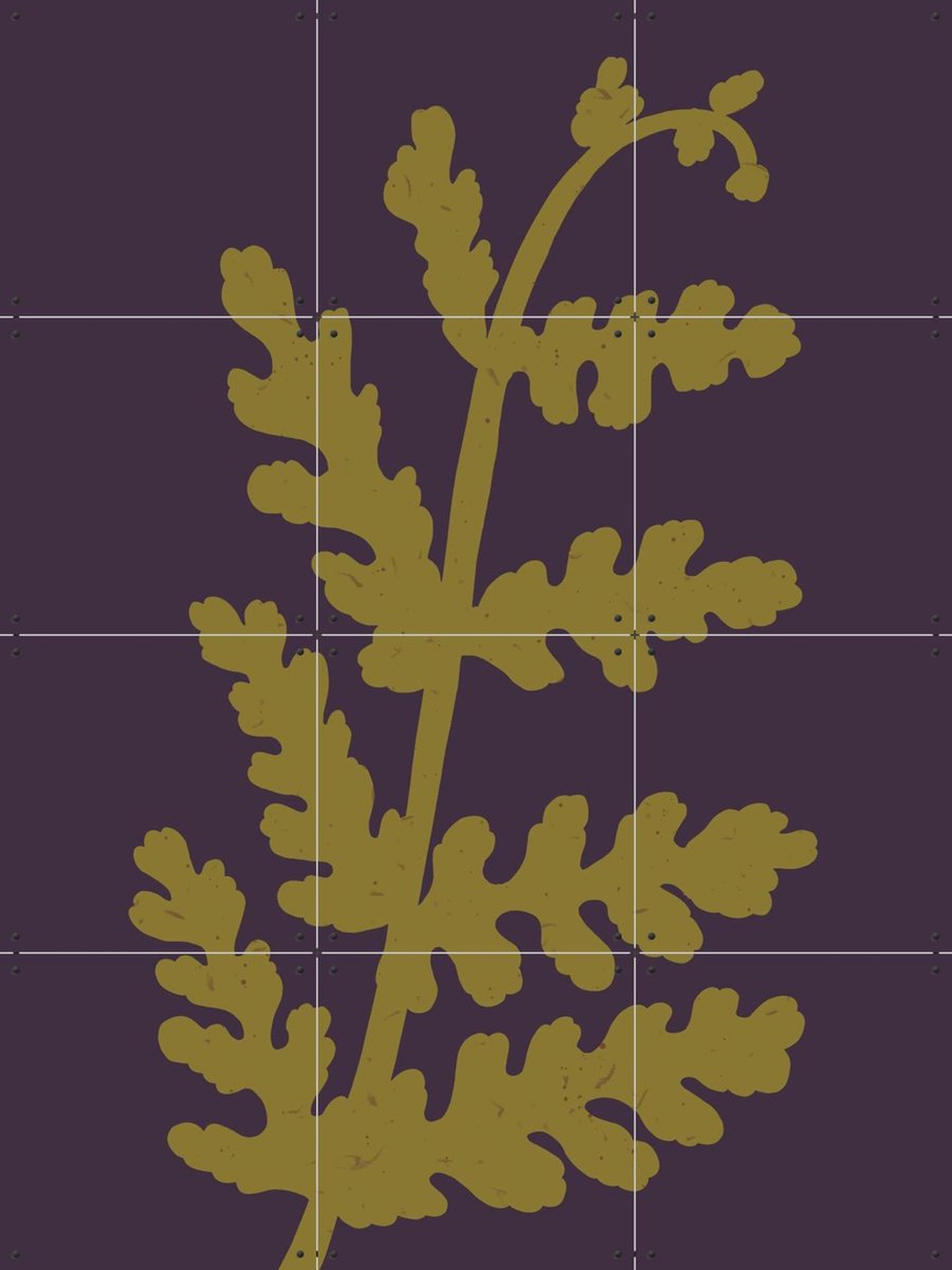 IXXI Fern, Lotte Dirks - 60 x 80 cm - Gratis ophangtool - Grote wanddecoratie en posters - Illustraties, Abstract, Woonkamer, Studeerkamer