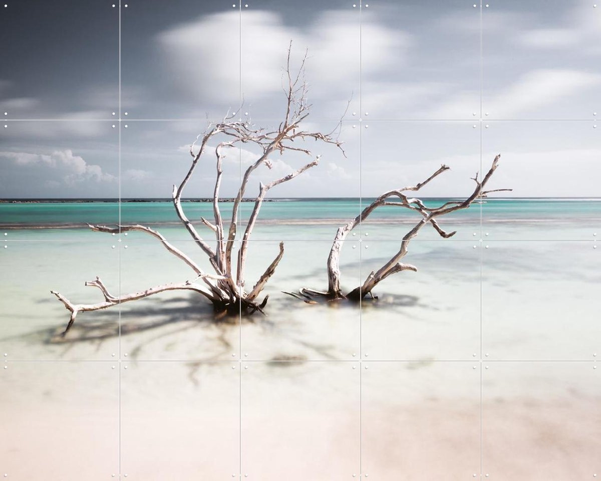 IXXI Tropical Silence The Hatstand, Claire Droppert - 100 x 80 cm - Gratis ophangtool - Grote wanddecoratie en posters - Realisme, Fotografie