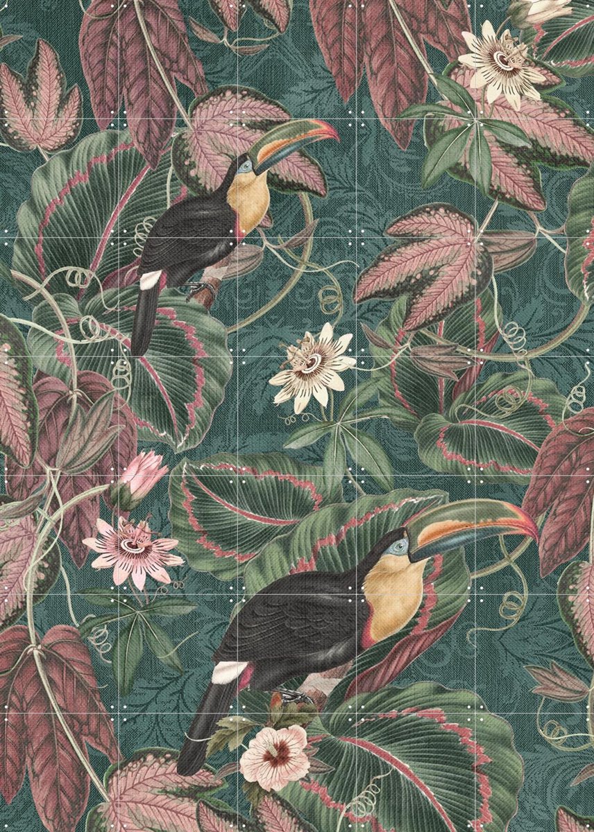 IXXI Jungle Toukans Passiflora Garden, Bloomery Decor - 100 x 140 cm - Gratis ophangtool - Grote wanddecoratie en posters - Kleurrijk, Ornamenteel