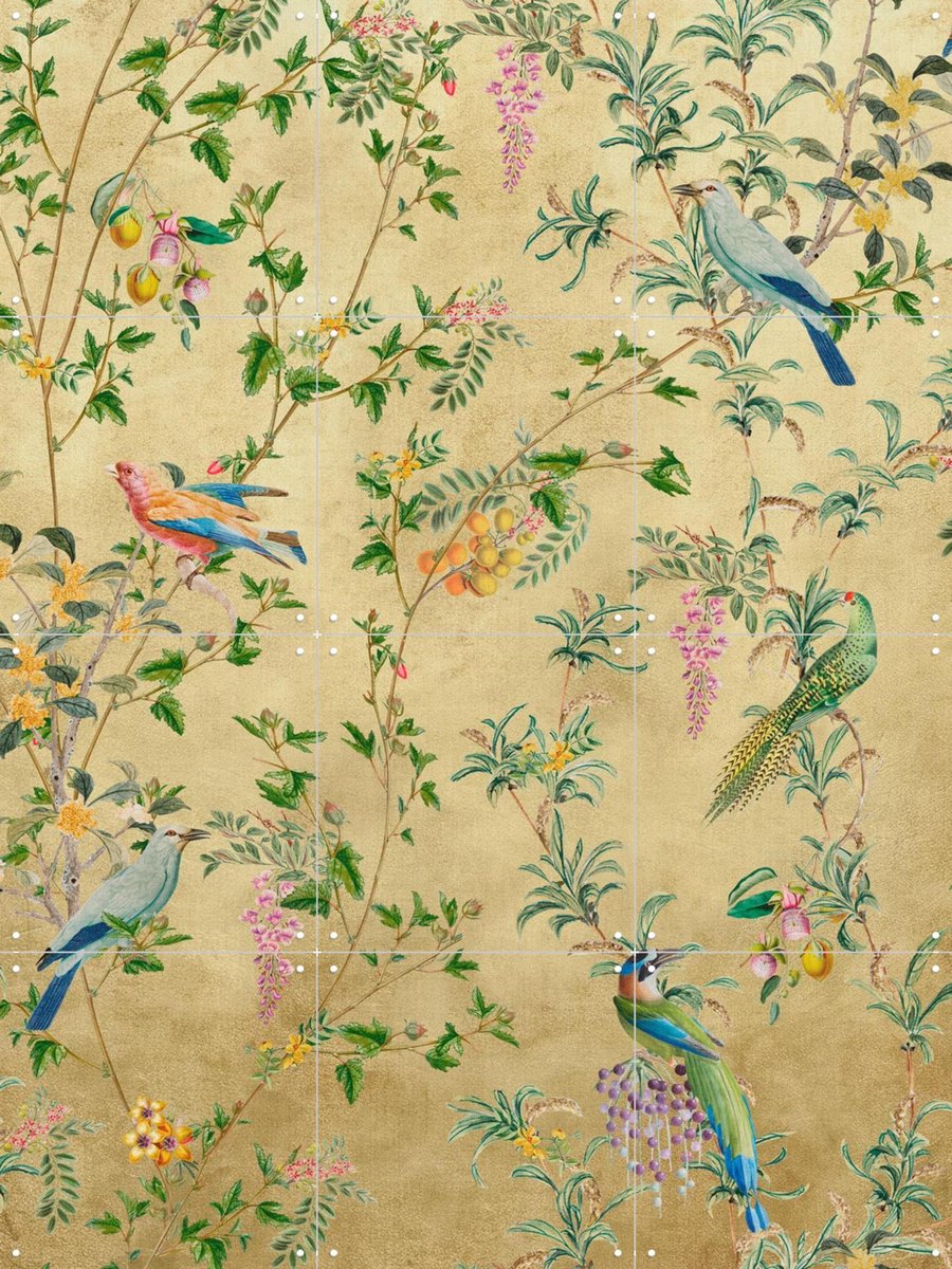 IXXI Vintage Birds and Climbing Vines, Bloomery Decor - 60 x 80 cm - Gratis ophangtool - Grote wanddecoratie en posters - Vintage, Klassiek