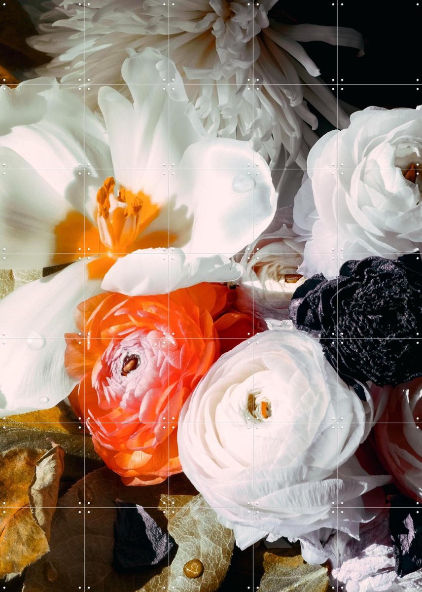 IXXI Ranunculus 10, Leigh Viner - 100 x 140 cm - Gratis ophangtool - Grote wanddecoratie en posters - Fotografie, Woonkamer, Slaapkamer, Gang, Bloemen