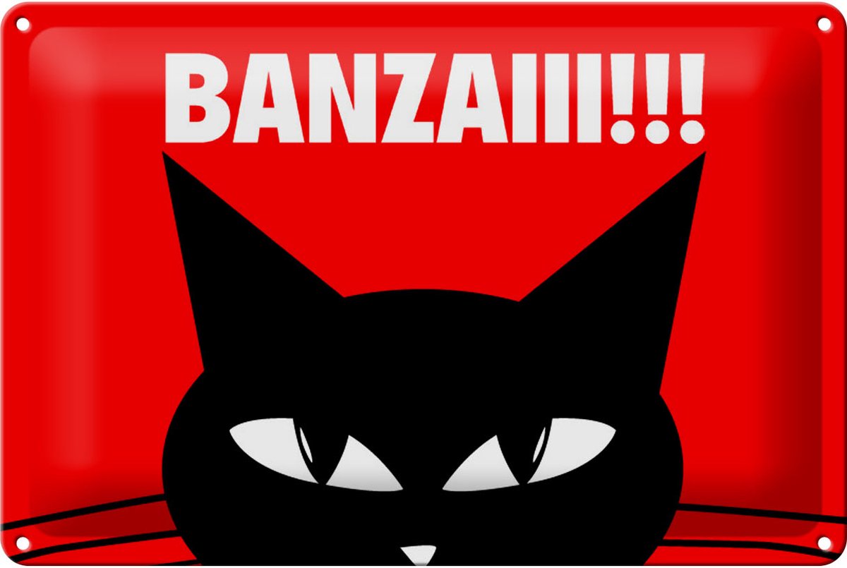 Blechschild Spruch 30x20cm Katze Banzaiii