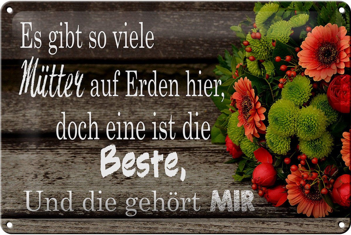 Blechschild Spruch 30x20cm es gibt viele Mütter doch eine