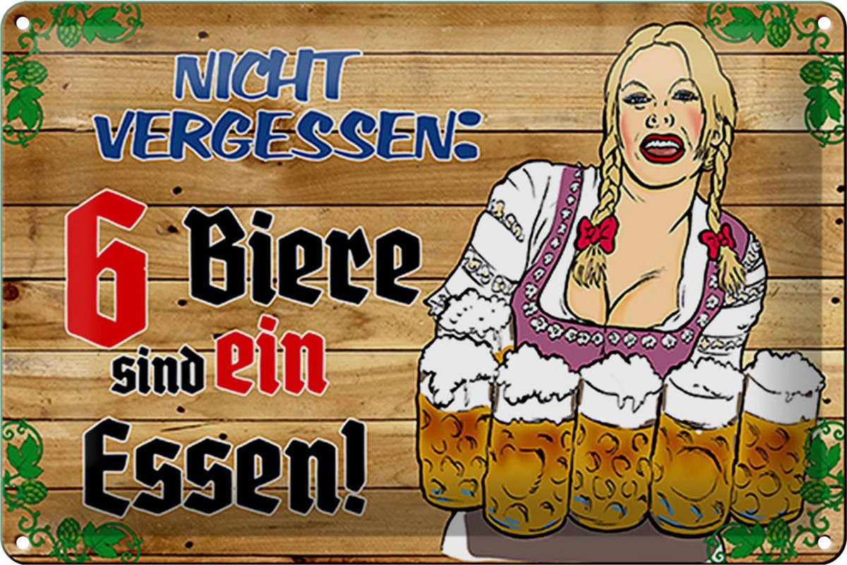 Blechschild Alkohol 30x20cm 6 Biere sind ein Essen