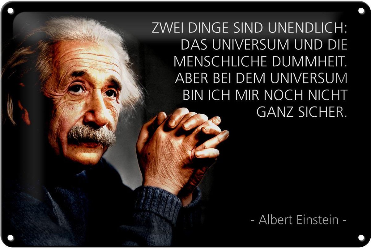 Blechschild Zitat 20x30 cm Einstein zwei Dinge sind unendlich Deko Schild