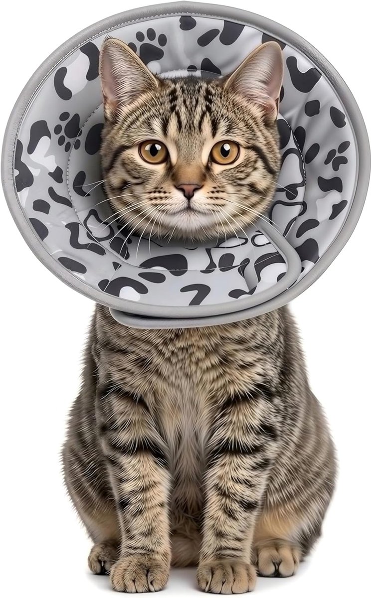 tegen likken, zacht en verstelbaar, met elastisch koord, voor genezing, na operaties en krabben, herstelhalsband voor katten en puppy's, verstelbaar met klittenband (grijs, M)