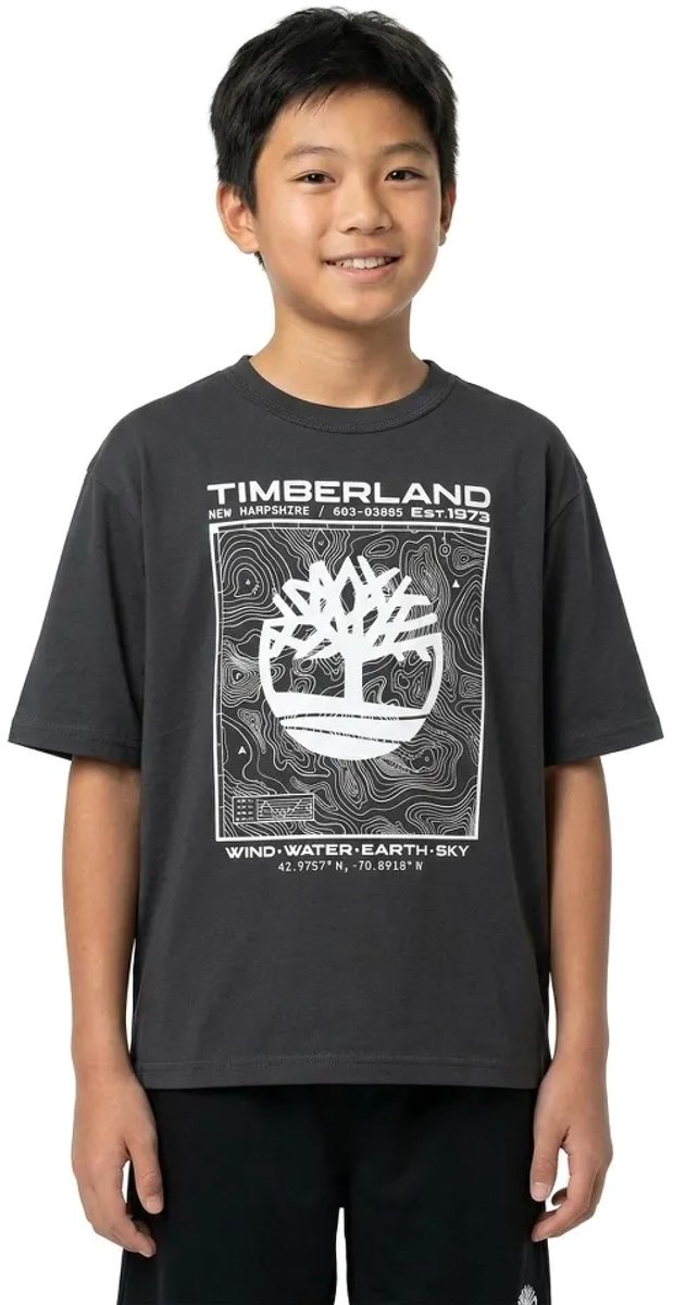 Timberland T60794 T-shirt Met Korte Mouwen 14 Years Jongen Grijs