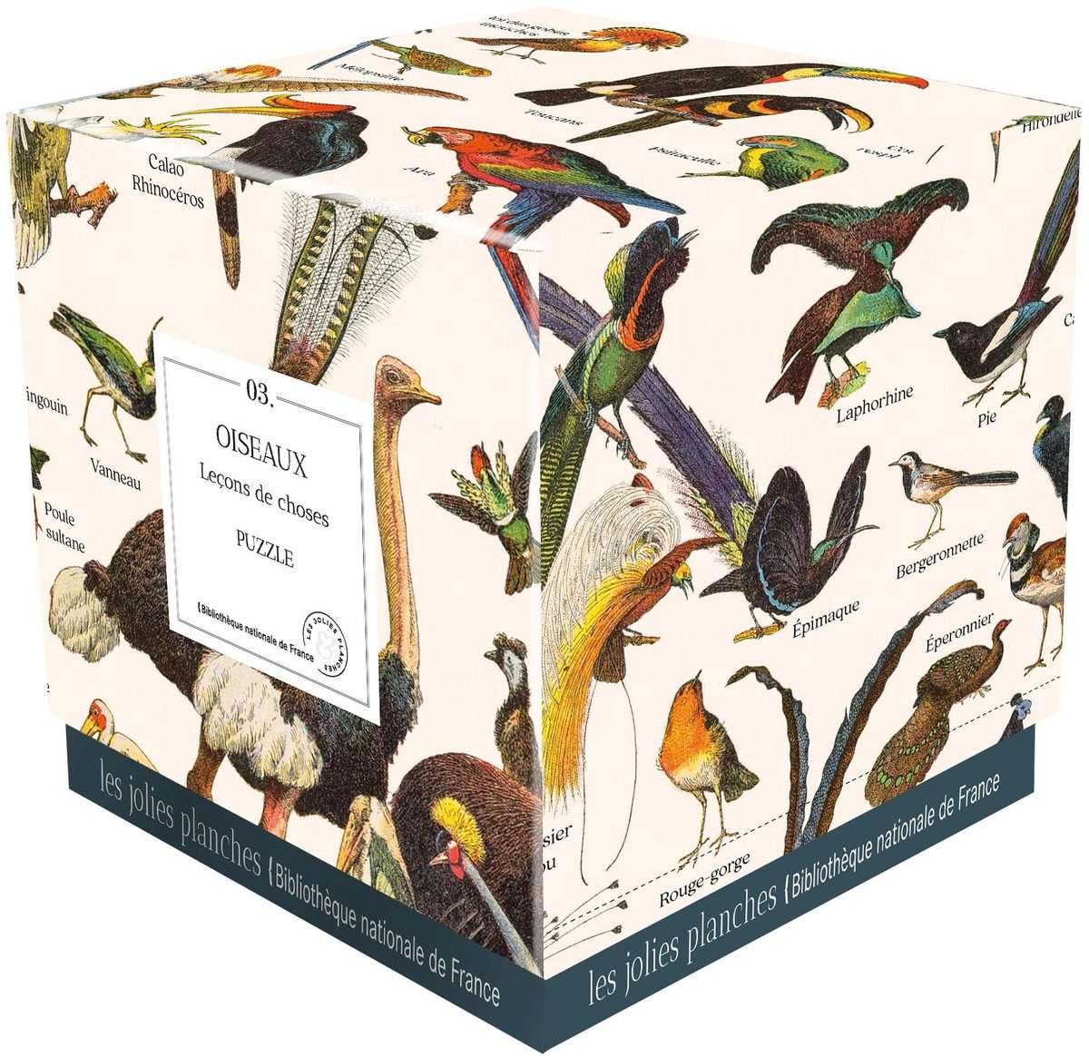 Solidchoice - Oiseaux Puzzel van 1000 Stukken: Leçons de choses