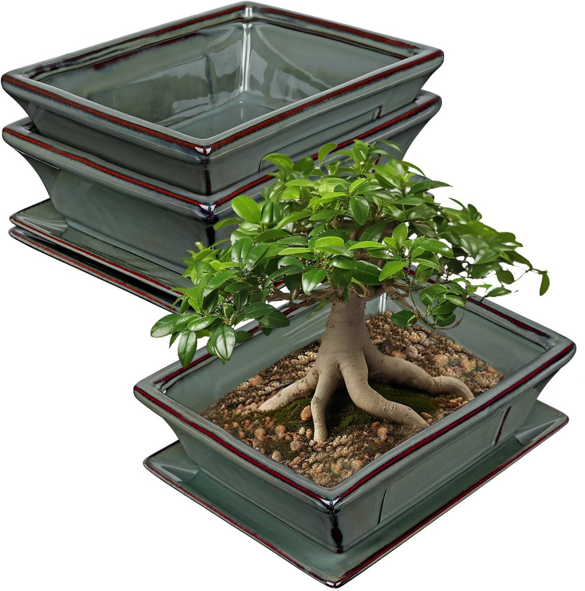 Solidchoice - Set van 2 Keramische Bonsai Potten met Onderzetter