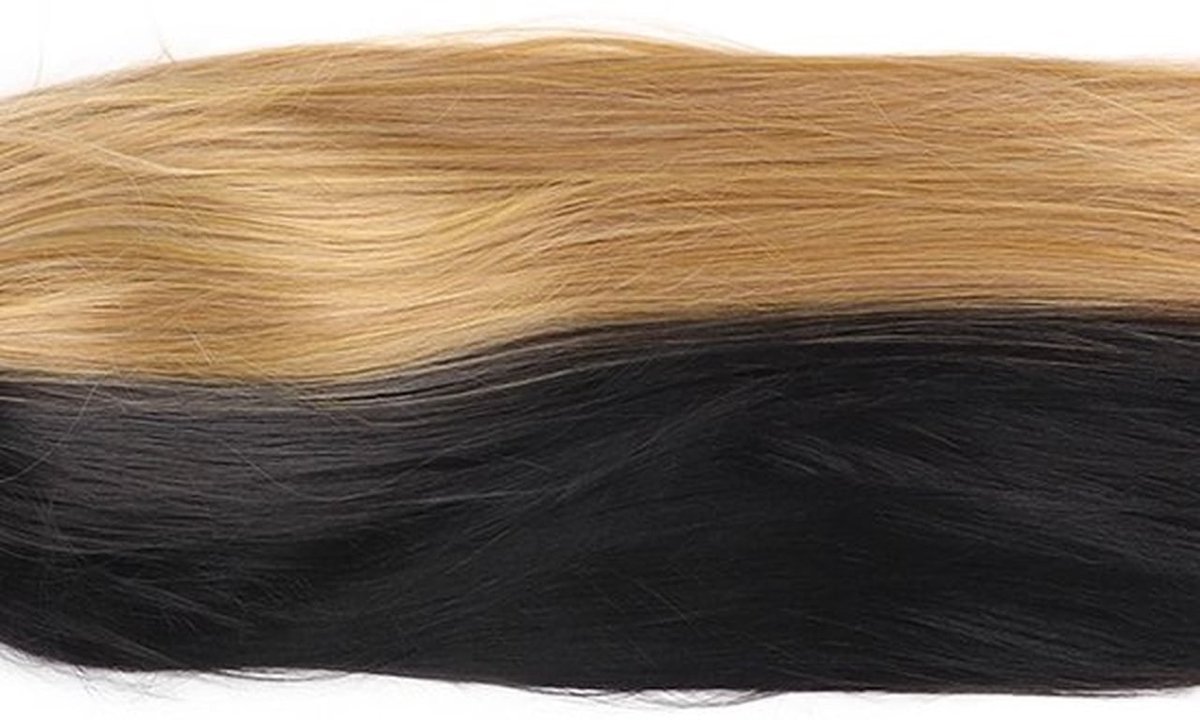 Cosplay Haar Pruik - Half Zwart/Half Blond - Lange Rechte Synthetische Pruik - Natuurlijke Look - Modieuze Uitstraling - Voor Feestjes