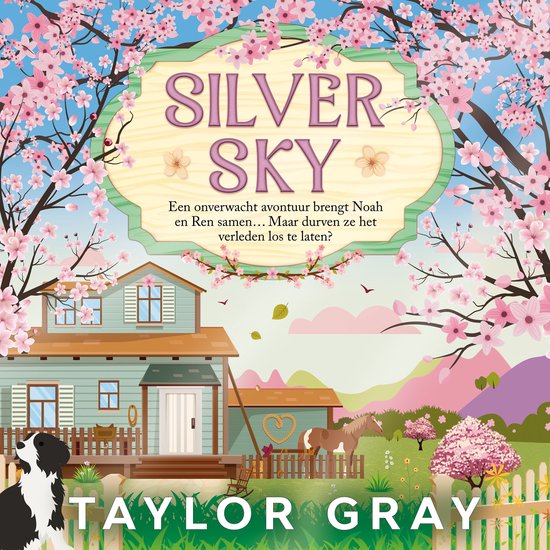 Silver Sky - cover