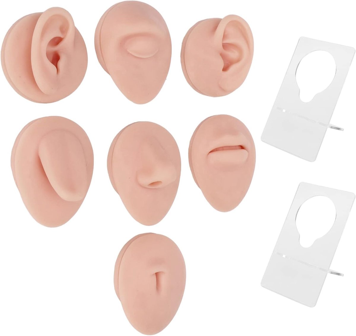 Piercing Oefening Lichaamsdelen, Zachte Siliconen Piercing Model Lichaamsdeel Displays Set voor Acupunctuur Menselijk Model Simulatie Set voor Sieraden Display Onderwijs Tool Sieraden Display (Medium