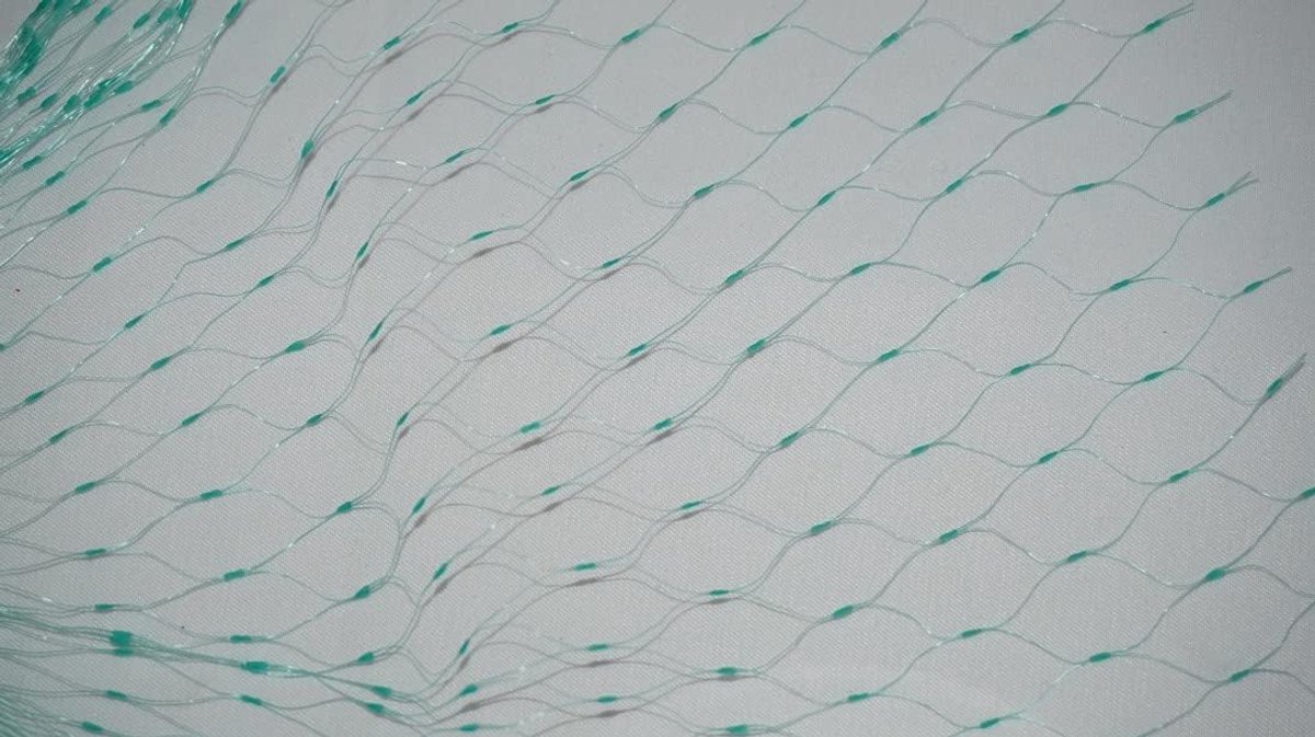Vogelbeschermnet Set van 2 - 2 x 10 m - Weerbestendig Plastic - Bescherming voor tuinen - ShopVlot