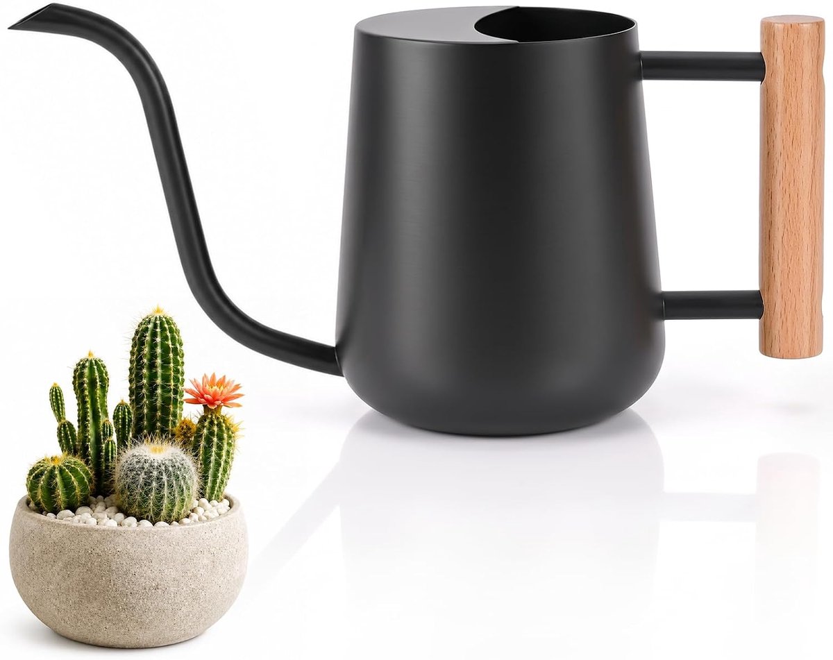 Gieter van 1 liter voor kamerplanten, bloemen, planten en vetplanten | roestvrij staal metaal lange tuit kleine gieter voor binnen en buitentuinen, zwart, 1000 ml