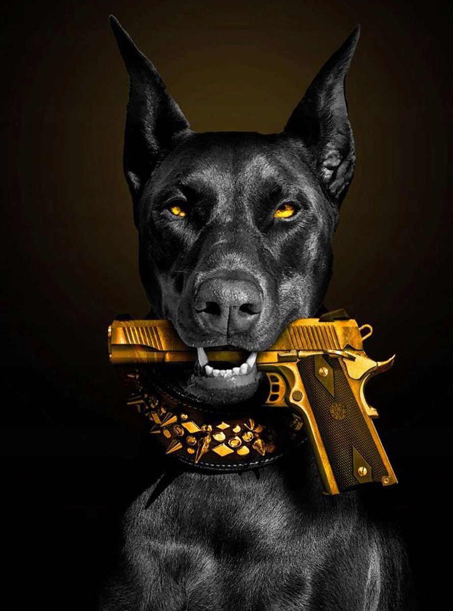 Diamant Schilderen Doberman 40x50cm - Compleet met Frame