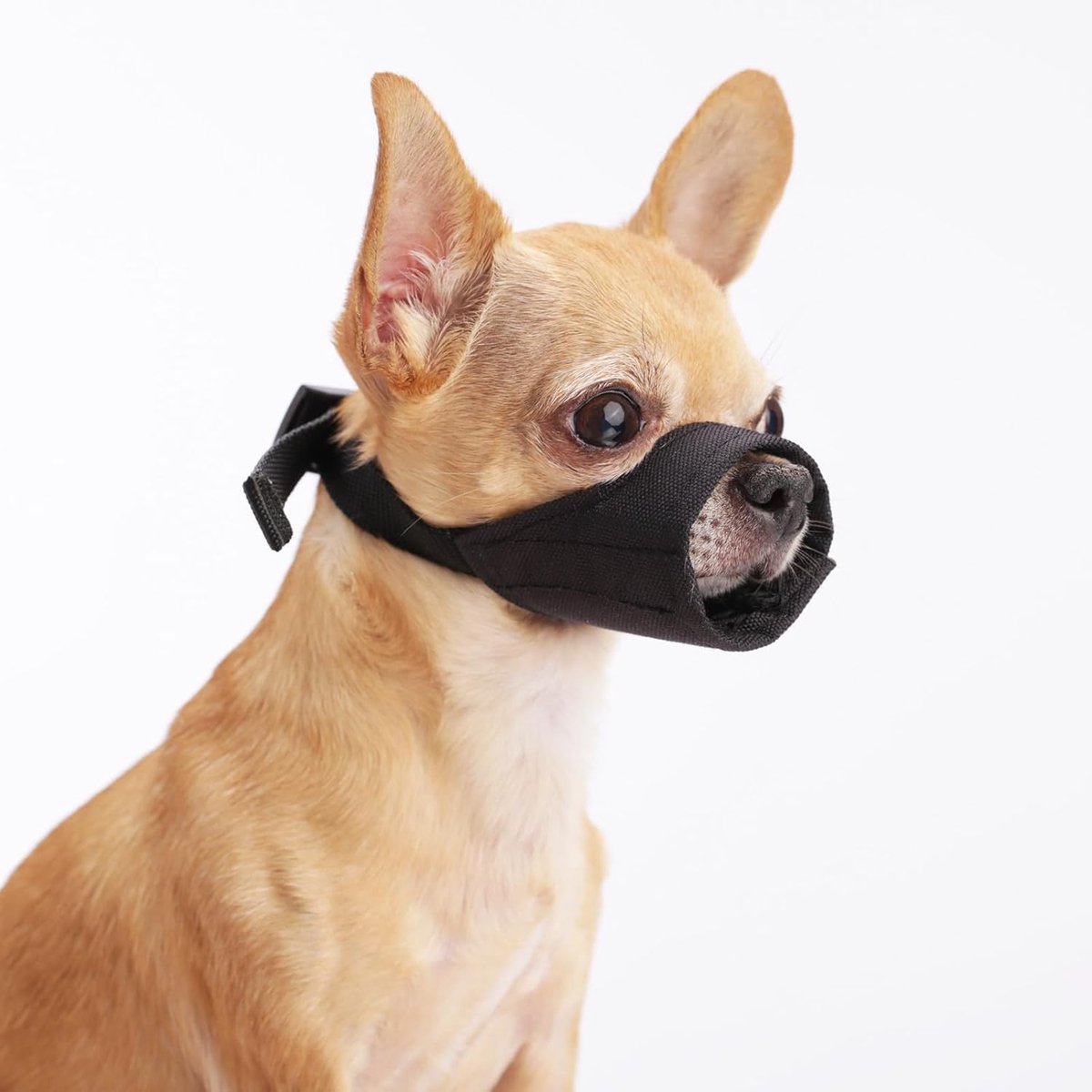 Hondenmuilkorf voor kleine honden, zachte muilkorven voor middelgrote en grote honden om bijten en blaffen te voorkomen, geschikt voor chihuahua Shih Tzu Bulldog Pitbull om eten en kauwen te