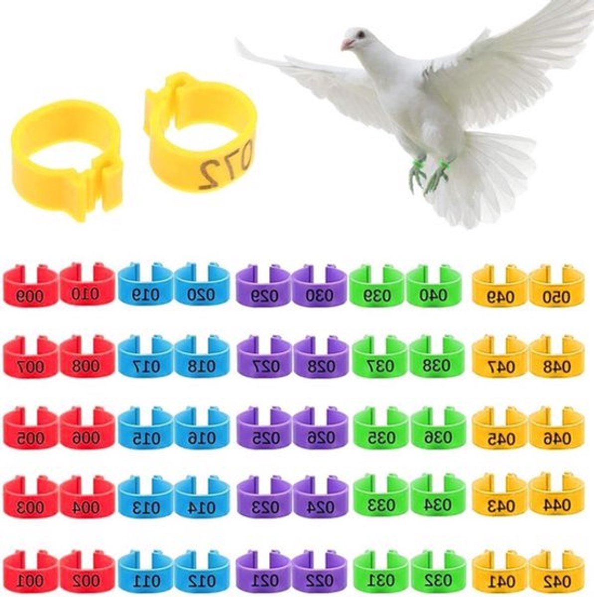 Voetringen voor gevogelte - Set van 50 kleurrijke ringen (20 mm) voor kippen, duiven en kuikens