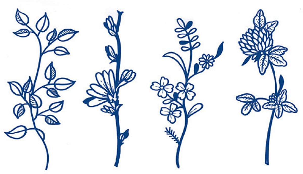 Tijdelijke tattoo Wildflower Quartet 2 weken