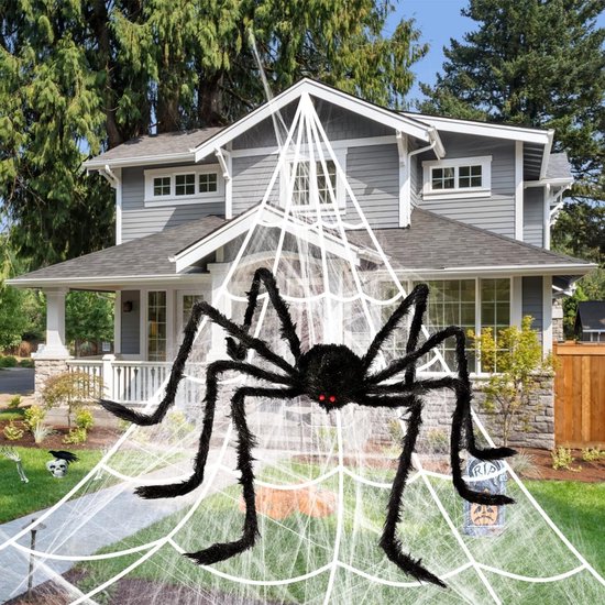 Grote zwarte spin met rode ogen op een spinnenweb voor het huis.