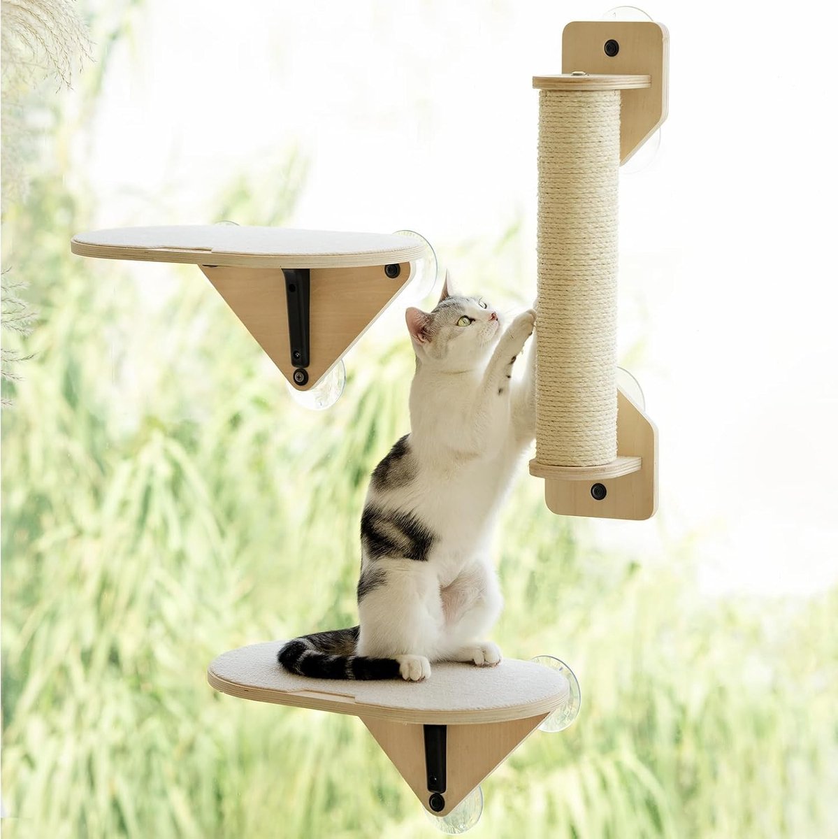 Houten Hangmat voor Katten met Sterke Zuignappen en Platform voor Binnengebruik - Set van 3