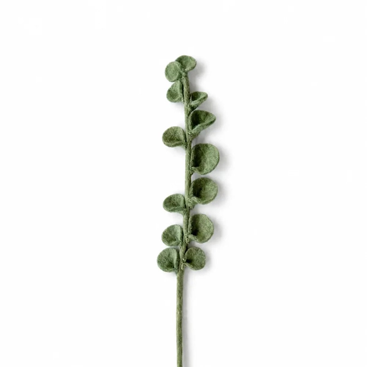 Vilten Tak Eucalyptus - Decoratieve Tak