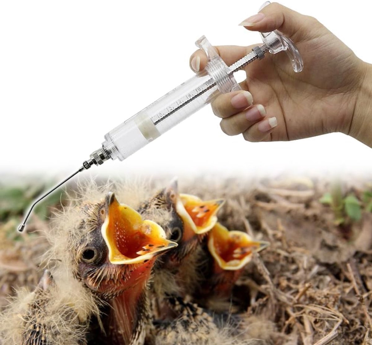 SnelShoppen - 50ml Voedingsspuit met 6 Harvest Tubes voor Baby Vogels, Nymphensittich, Parkiet, Papegaai, Handmatige Educatie, Voedingsspuit (50ML)