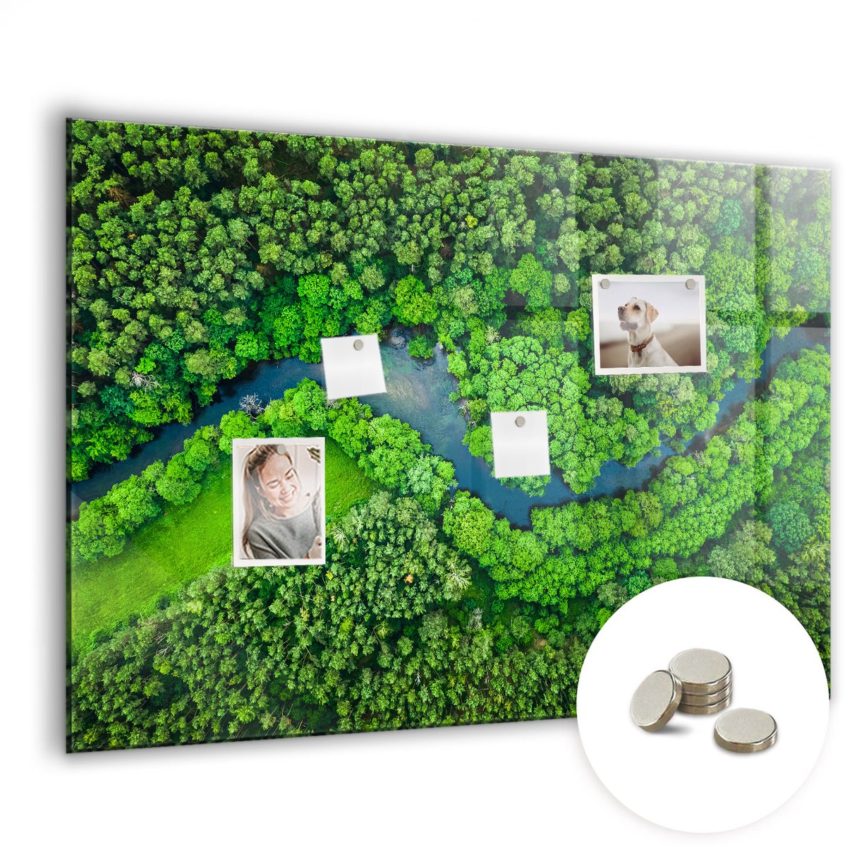 Coloray Glazen Magneetbord - Magnetisch Bord Natuur laat achter - 100x70 cm - Groente Magneetbord - Magnetic Board - Woonkamer Decoratie